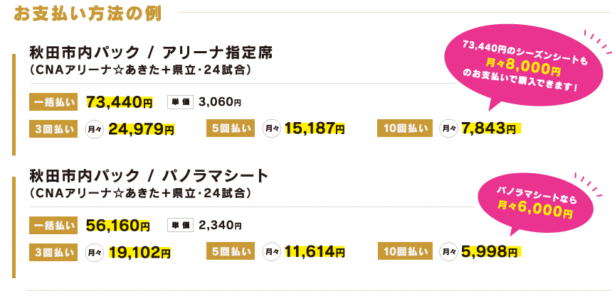 お支払い方法の例
