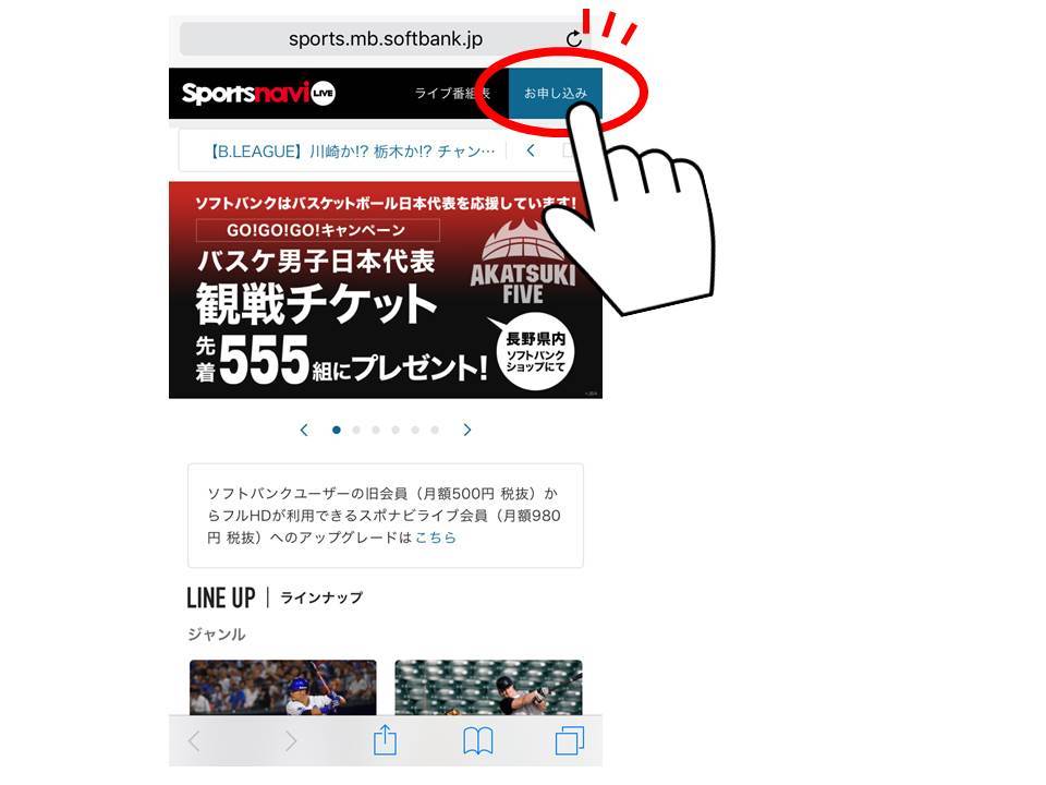 お問い合わせ多数ありがとうございます スポナビライブ加入方法について 秋田ノーザンハピネッツ お問い合わせ多数ありがとうございます スポナビライブ加入方法について 秋田ノーザンハピネッツ
